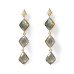Labradorite Drop Earrings_8713466