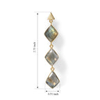 Labradorite Drop Earrings_8713466_4
