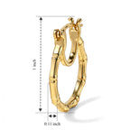 EverTrue Bronzella Collection - Hoop Earring in 18K Gold Plating_8758602_4