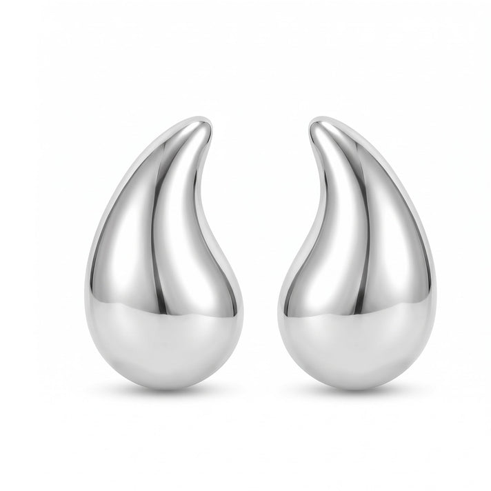 Sterling Silver Earring with Clasp 8763488 1