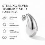 Sterling Silver Earring with Clasp_8763488_7