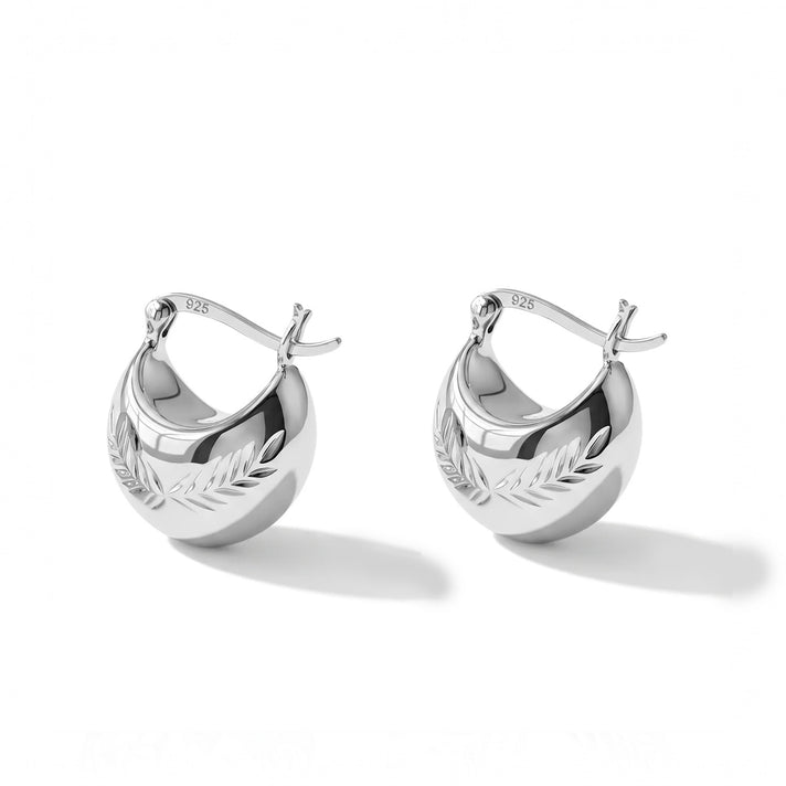 Sterling Silver Earring with Clasp 8763521 1