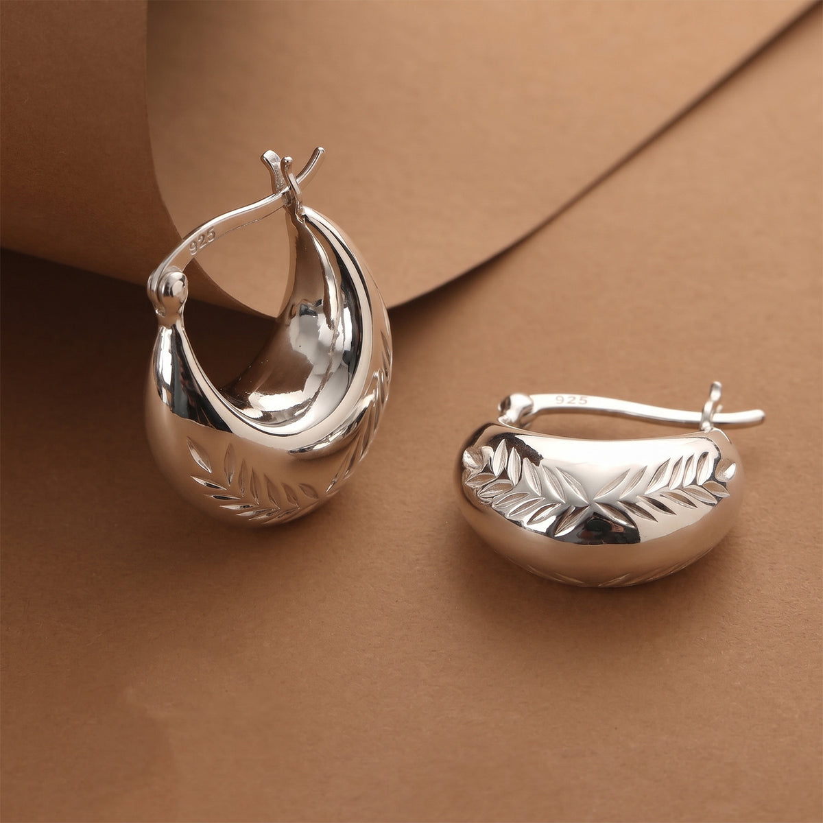 Sterling Silver Earring with Clasp 8763521 6