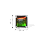 D'Joy - Ammolite Solitaire Stud Earring with Push Post in Platinum Overlay Sterling Silver 2.15 Ct._8770932_4