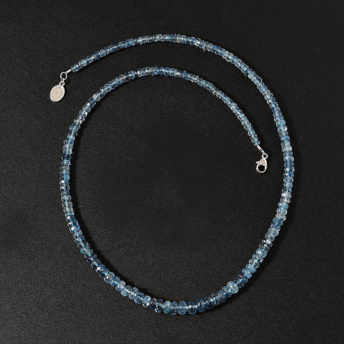 Appraised and Certified 950 Platinum AAAA Santamaria Aquamarine Necklace (Size - 18) 68.09 Ct. 7669079 3