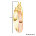 9K Yellow Gold  Earring,  Gold Wt. 2 Gms