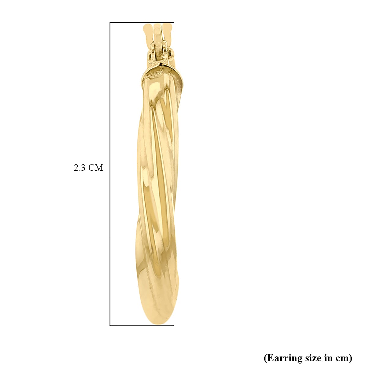 9K Yellow Gold 22mm x 23mm Triangle-Shaped Twist Creole Earrings 6092936 3