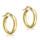 Gold Hoop Earrings