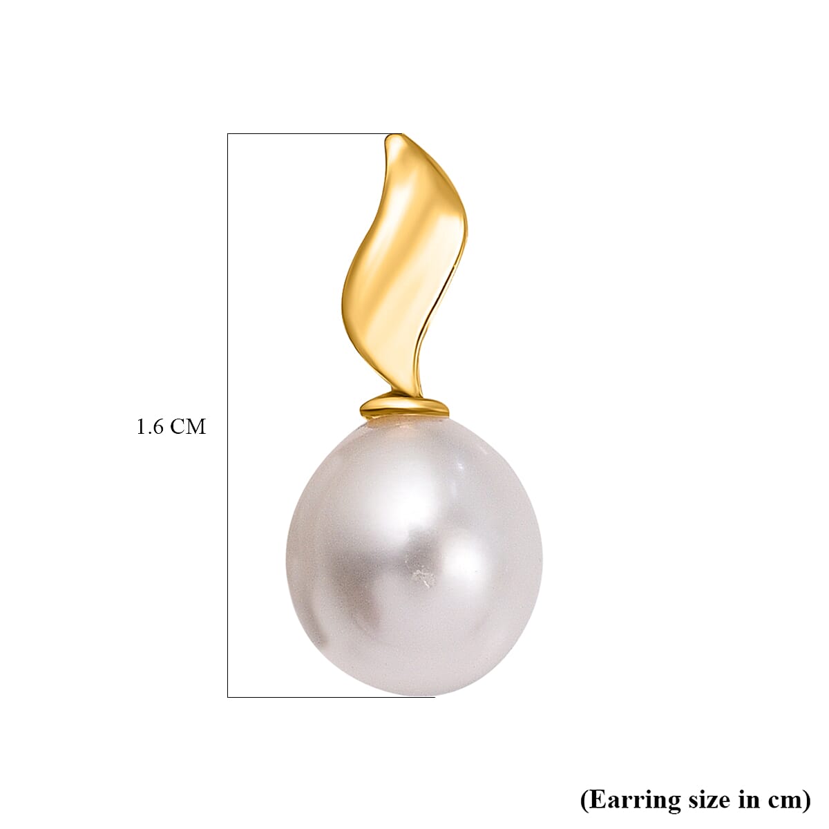 9K Yellow Gold 6.5mm x 7.5mm Freshwater Pearl and Curved Ellipse 6.5mm x 15mm Stud Earrings 7078180 4