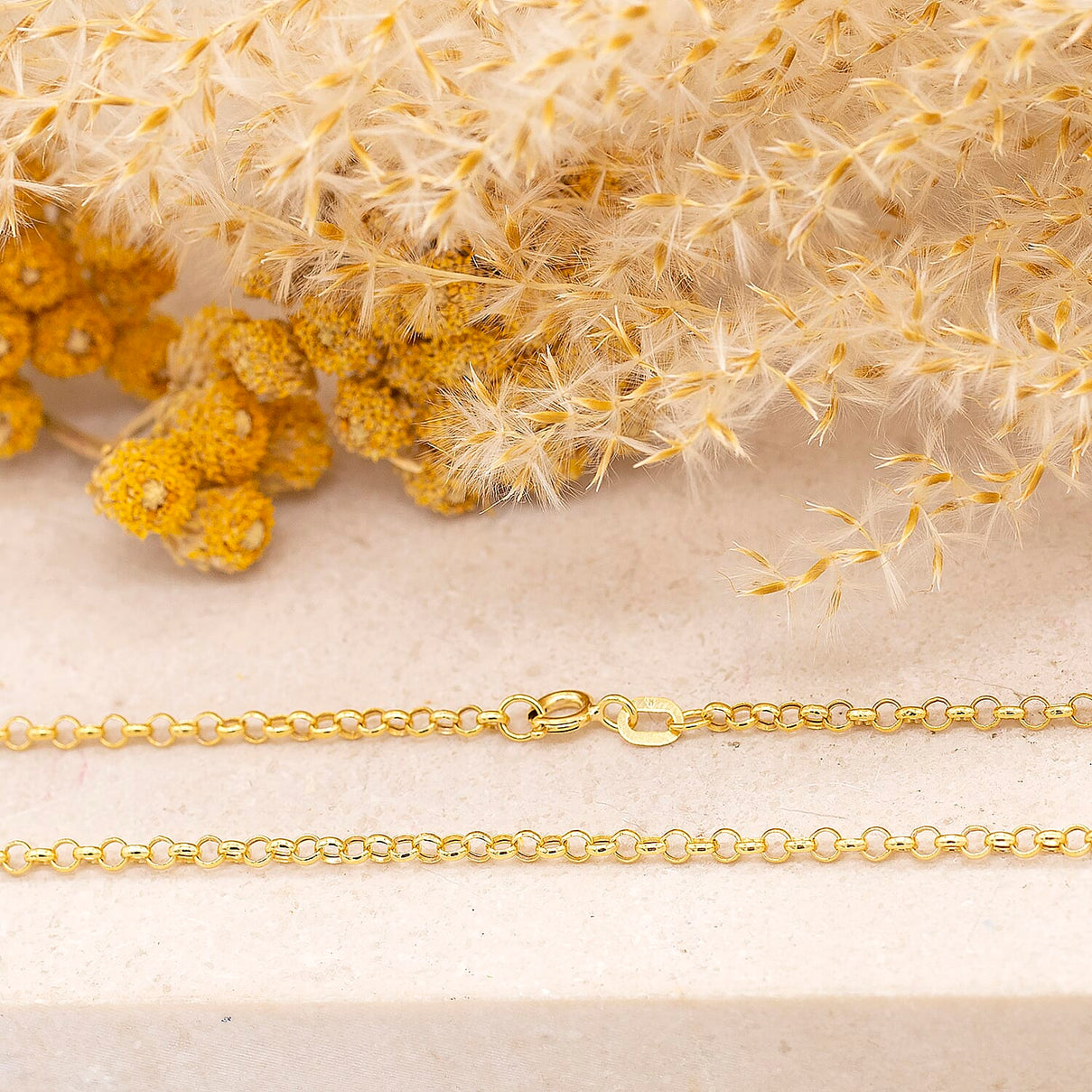 Round Belcher Chain 20 Inch in 9K Yellow Gold 7579347 2