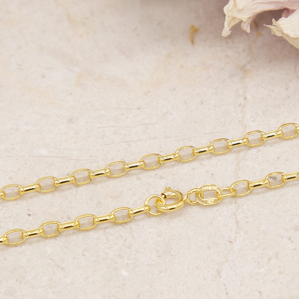 Diamond Cut Oval Belcher Chain 20 Inch in 9K Yellow Gold 7578959 4