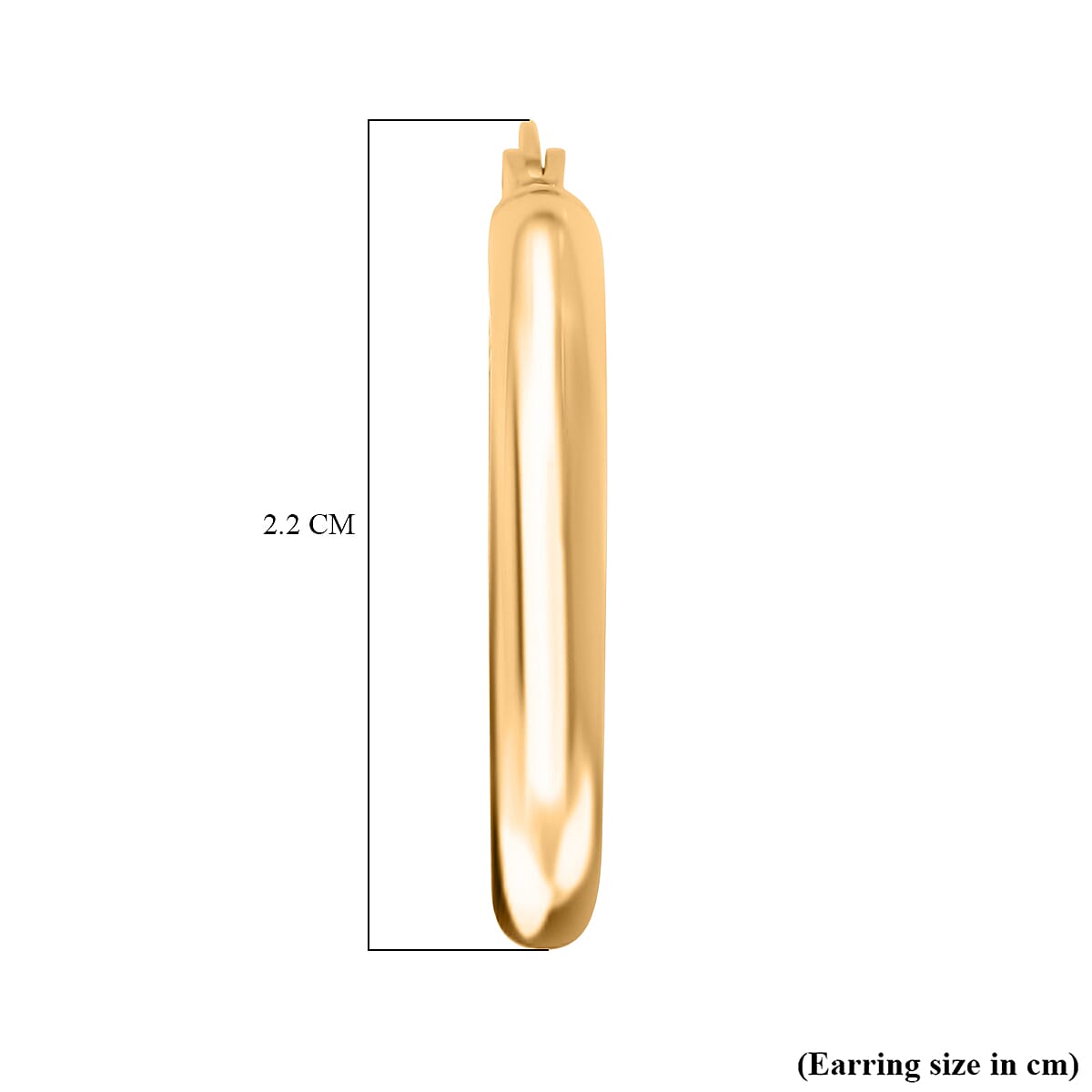 9K Yellow Gold Shiny Hoop Earrings 7663204 4