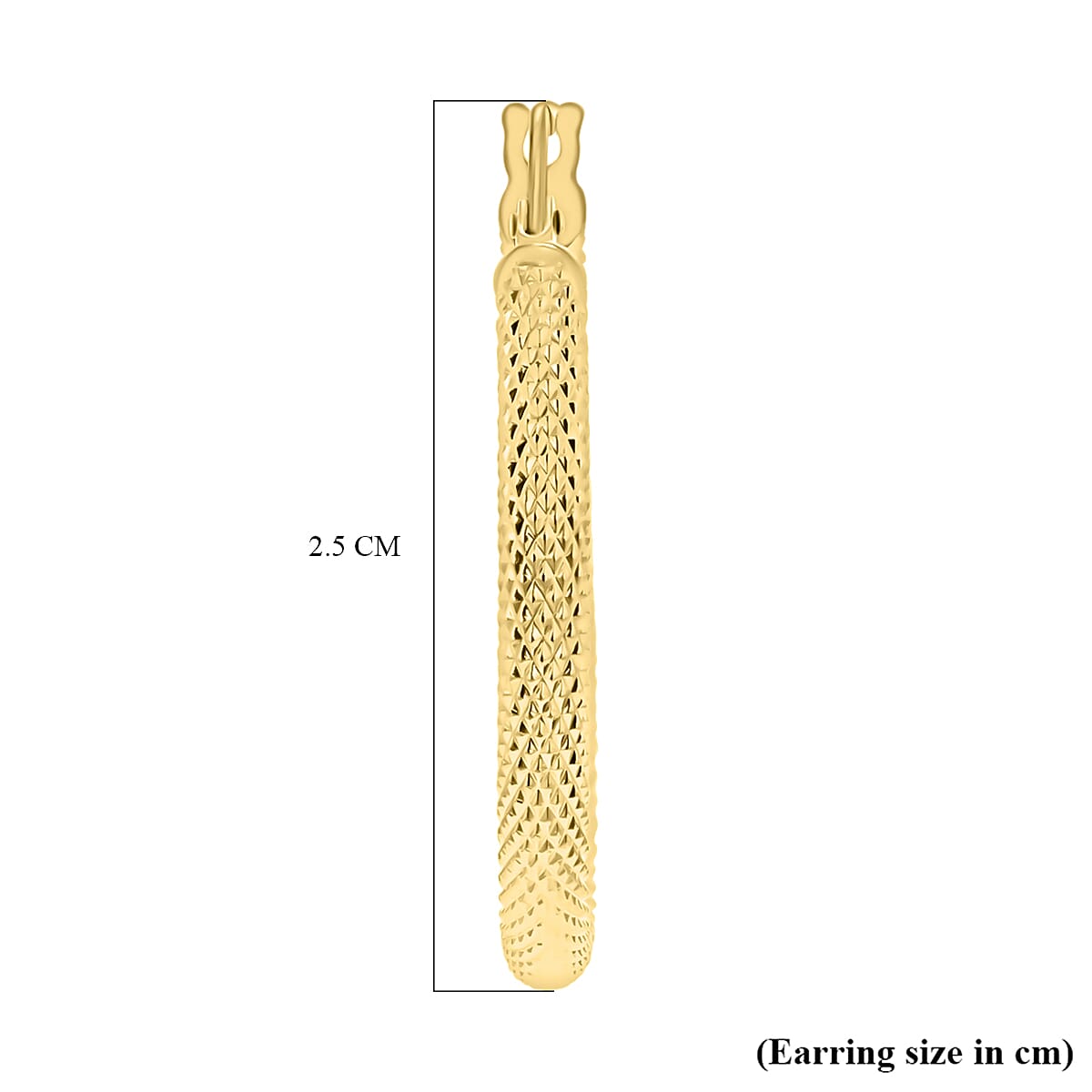 9K Yellow Gold 25mm Textured Round Hoop Creole Earrings 7337561 4