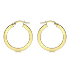 9K Yellow Gold  Earring,  Gold Wt. 1.5 Gms