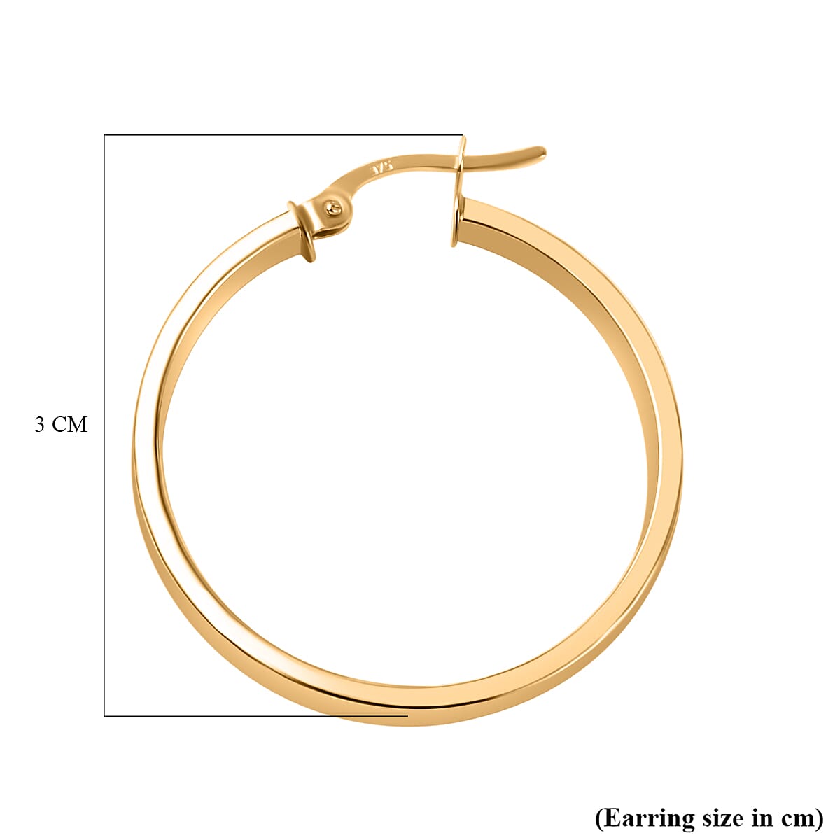 One Time Close Out- 9K Yellow Gold  Hoop Earrings 7756942 4