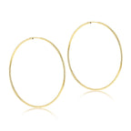 9K Yellow Gold  Earring,  Gold Wt. 1.7 Gms