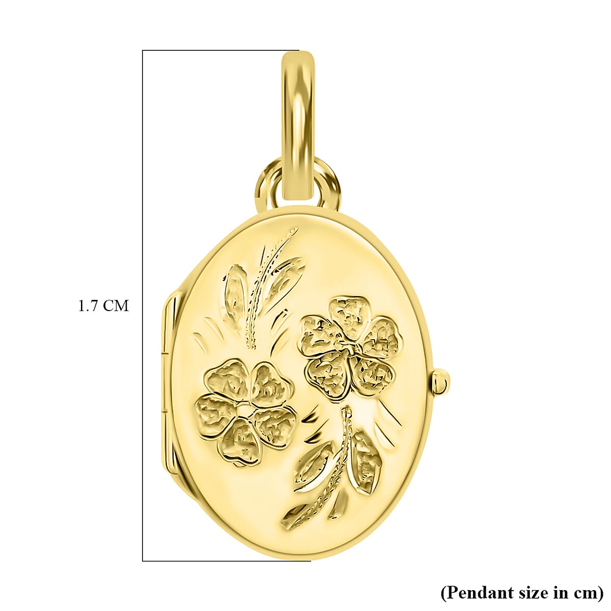 9K Yellow Gold 17mm x 24mm Daisy Detail Oval Locket 7343753 4
