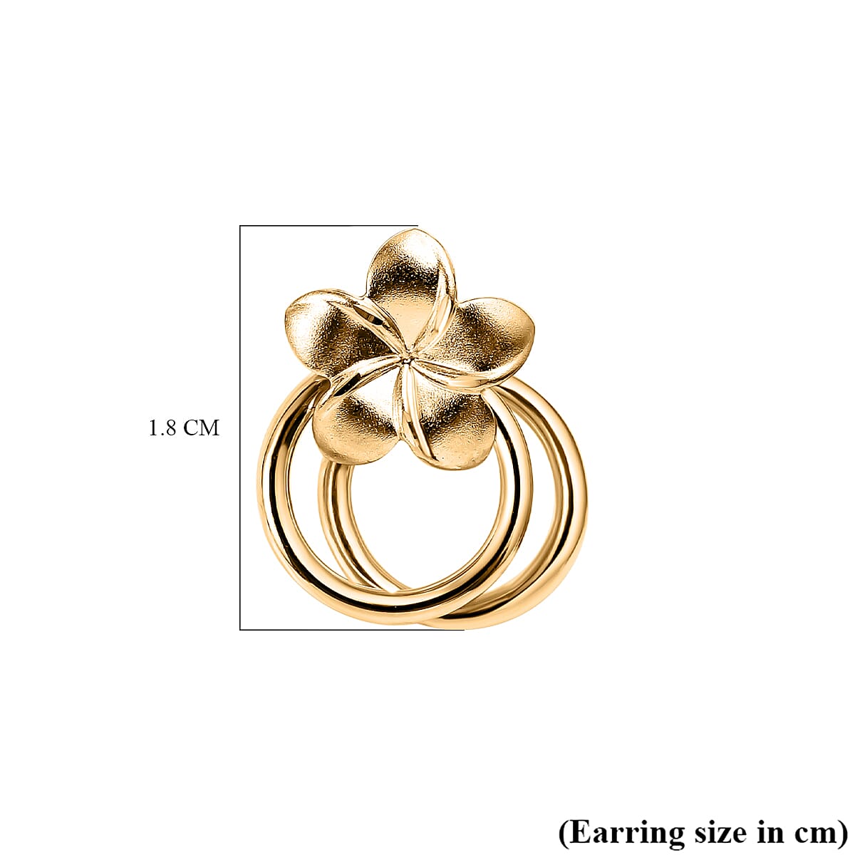 9K Yellow Gold Pin and Butterfly Earrings 7674138 4
