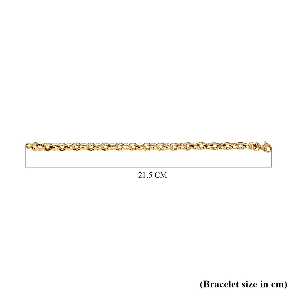 9K Yellow Gold Thick Oval Belcher Bracelet 8 Inch 7254649 3