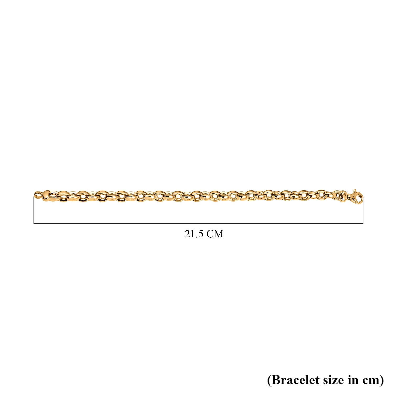 9K Yellow Gold Thick Oval Belcher Bracelet 8 Inch 7254649 3