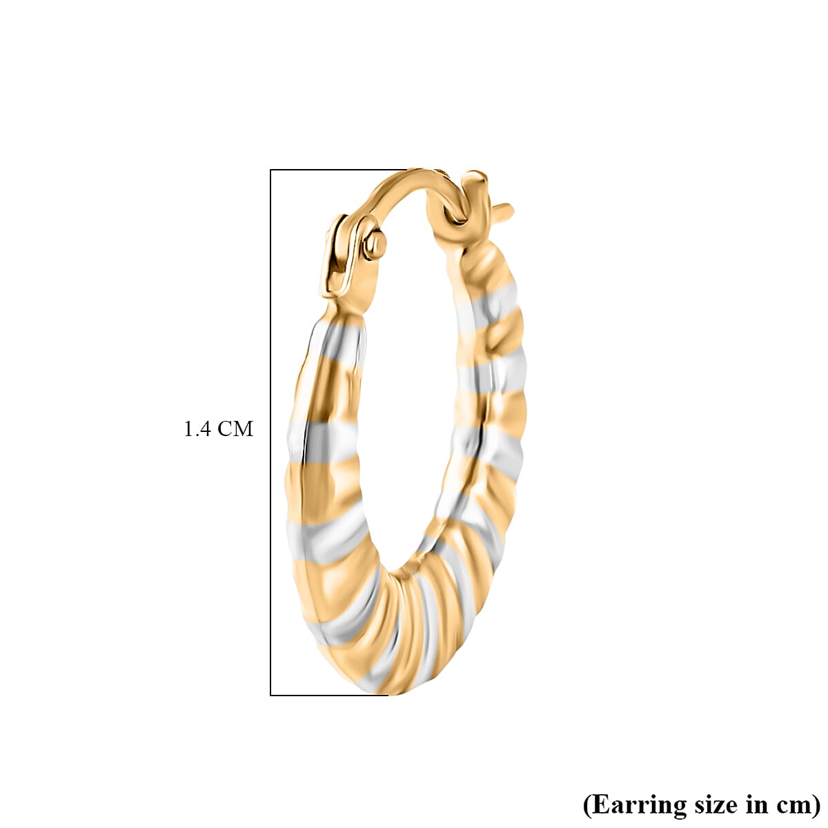 9K Yellow &amp; White Gold Creole Earring With Clasp 8024958 3