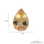 TO11 -Pear - 10x7 - FACE - 2A