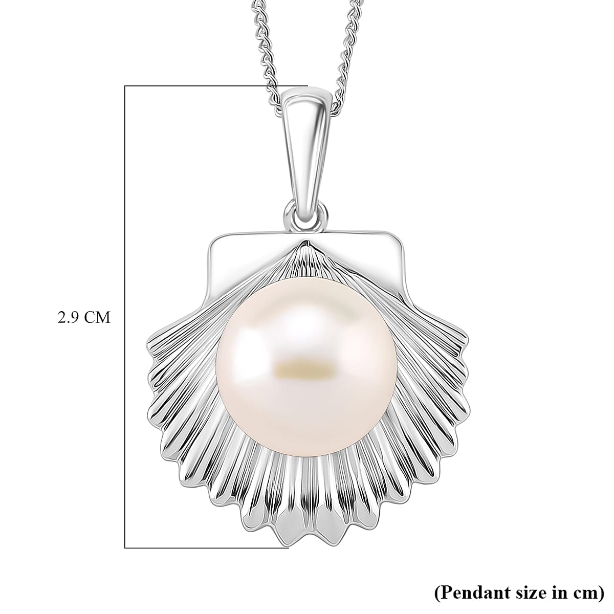 AAA White Edison Pearl (10-11 MM) Pendant with Chain (Size 18) in Rhodium Overlay Sterling 8.22 Ct. 4397189 6