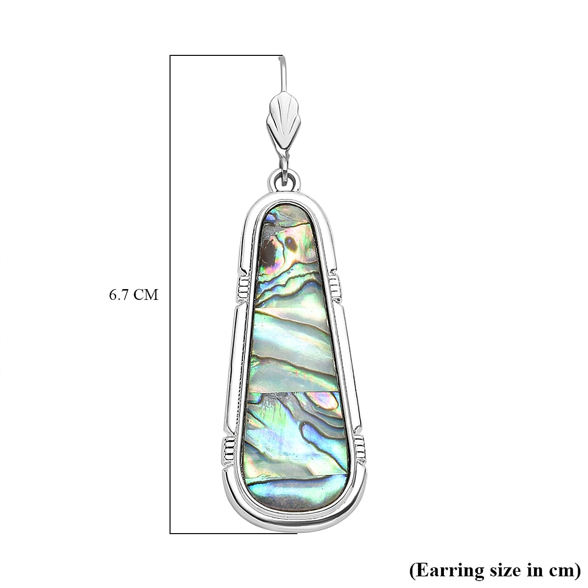 One Time Closeout - Abalone Shell Dangle Earrings with Lever Backs 13.00 Ct. 8735101 5