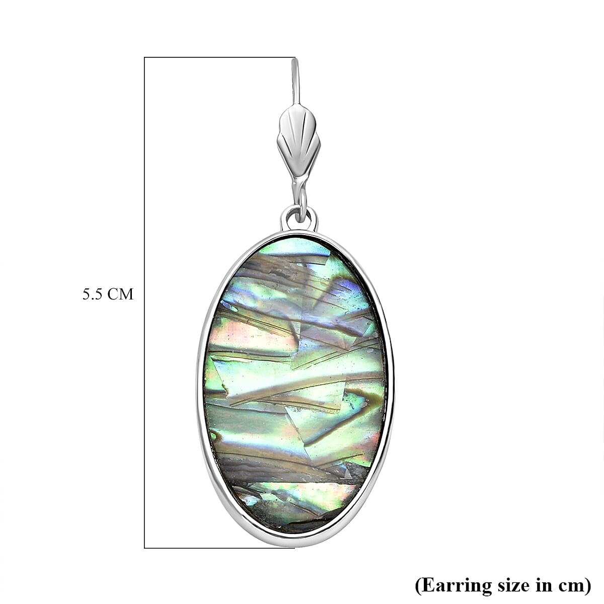 Abalone Shell Dangling Earrings in Stainless Steel 8735096 5
