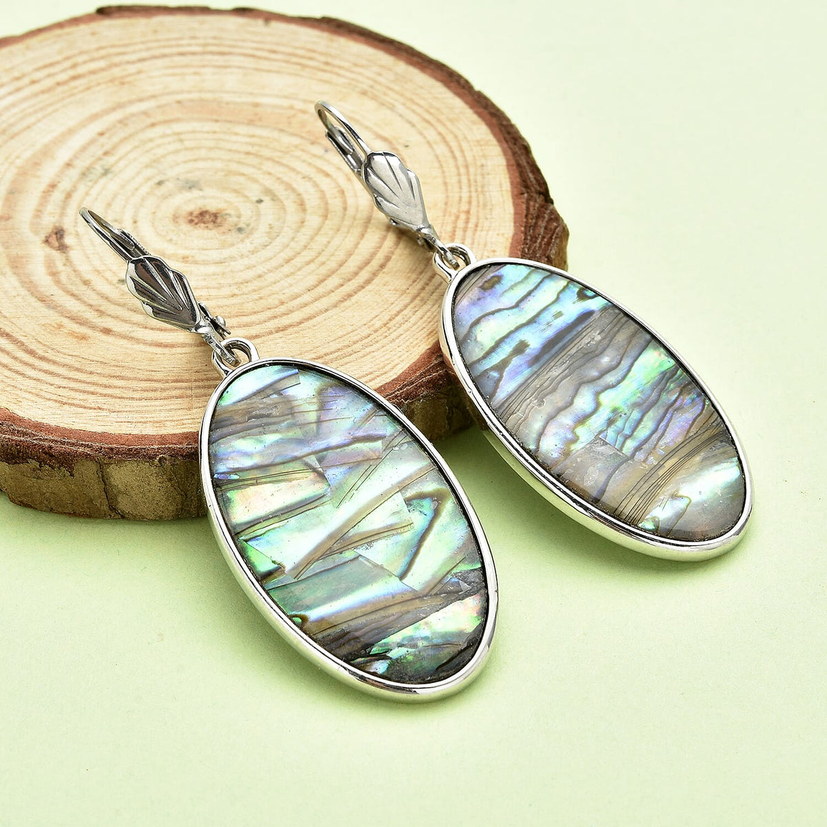 One time Closeout Deal  - Abalone Shell Earrings 7810758 1
