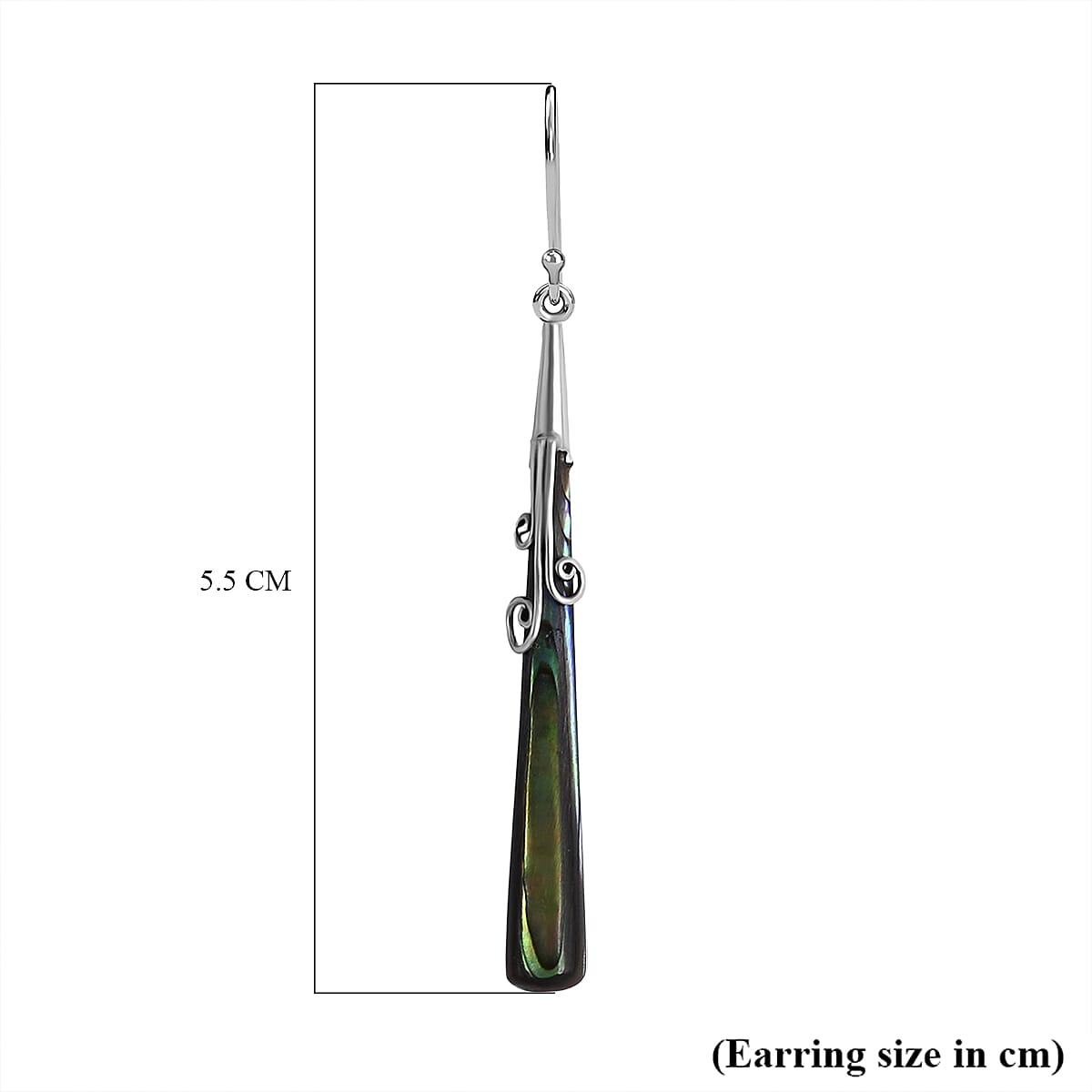 Abalone Shell Earring with Hook in Sterling Silver 8286503 5