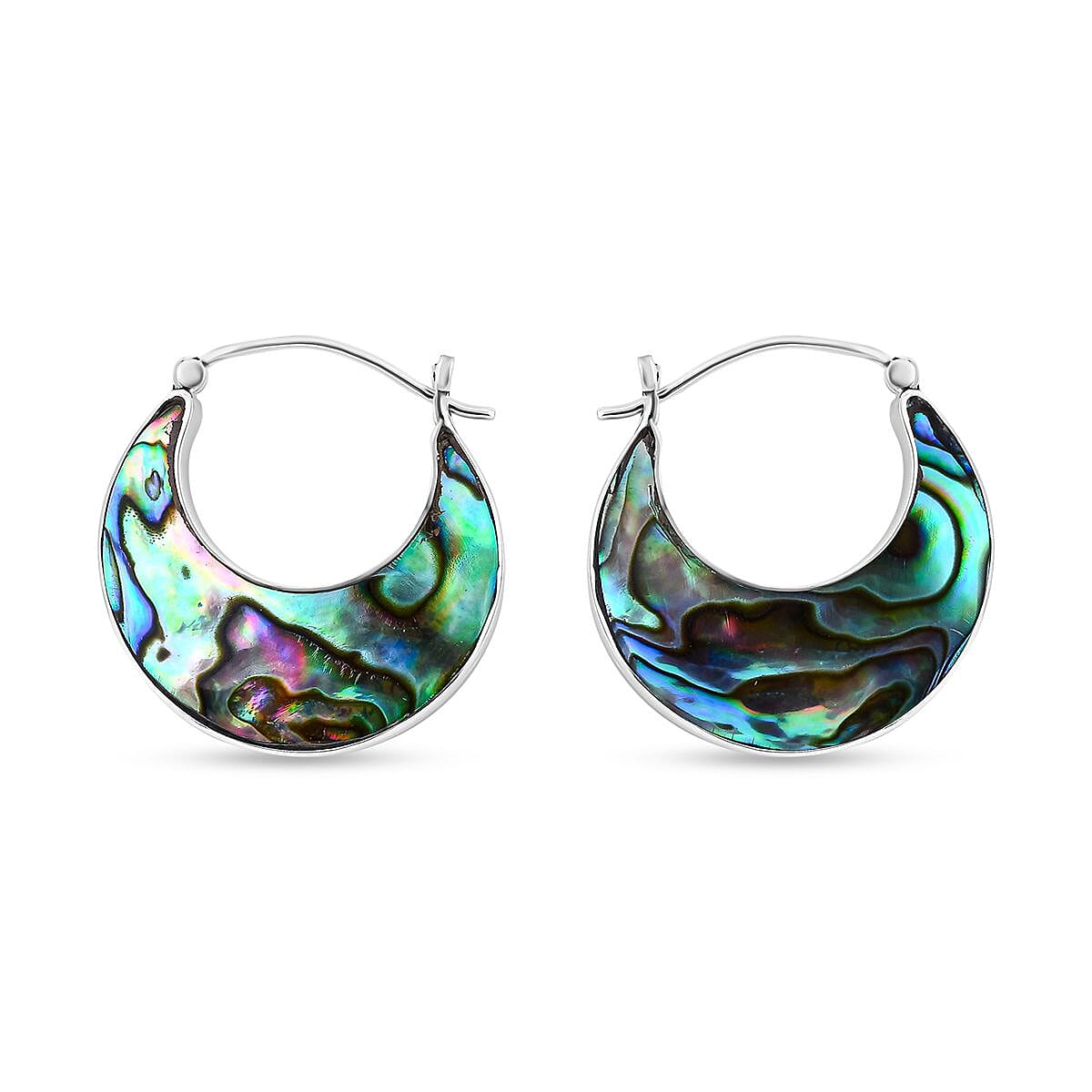 Abalone Shell Earring with Clasp in Sterling Silver 7768542 0
