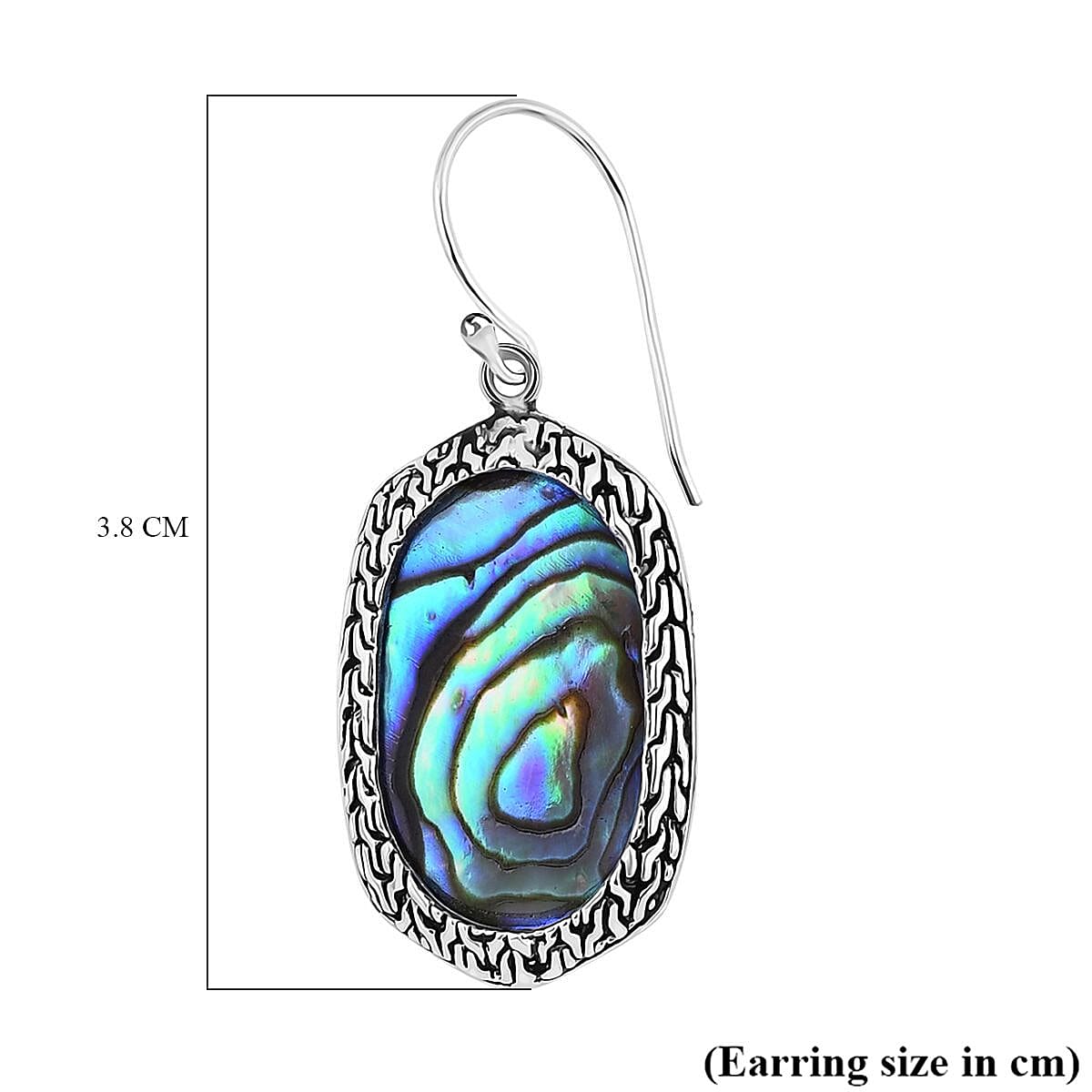 Abalone Shell Sterling Silver Ocean-Inspired Earring 7733034 5