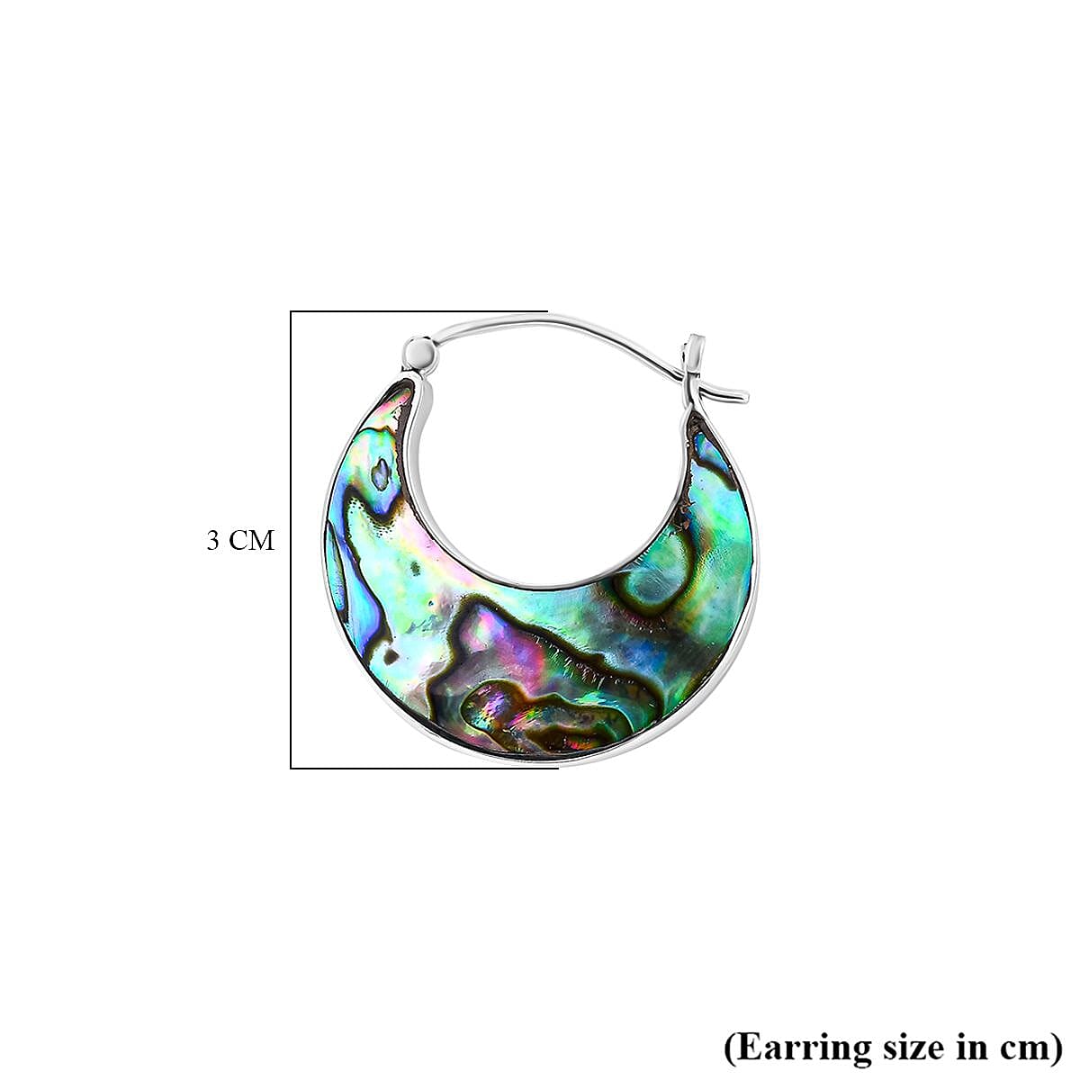 Abalone Shell Earring with Clasp in Sterling Silver 7768542 7