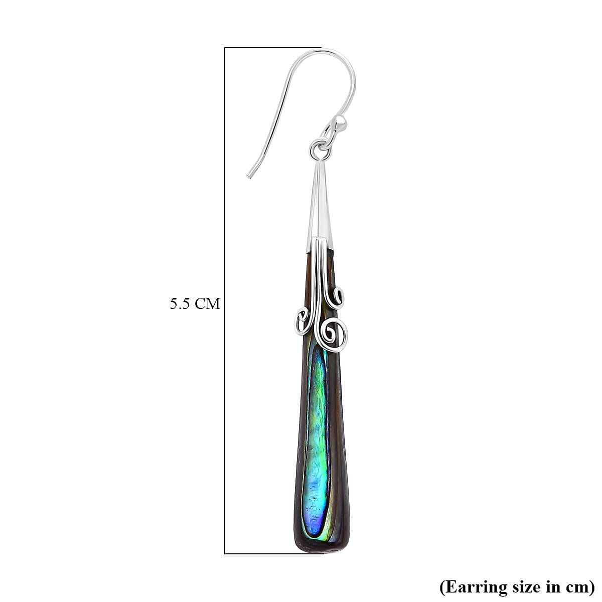 Abalone Shell Hook Earring in Sterling Silver 7768450 9