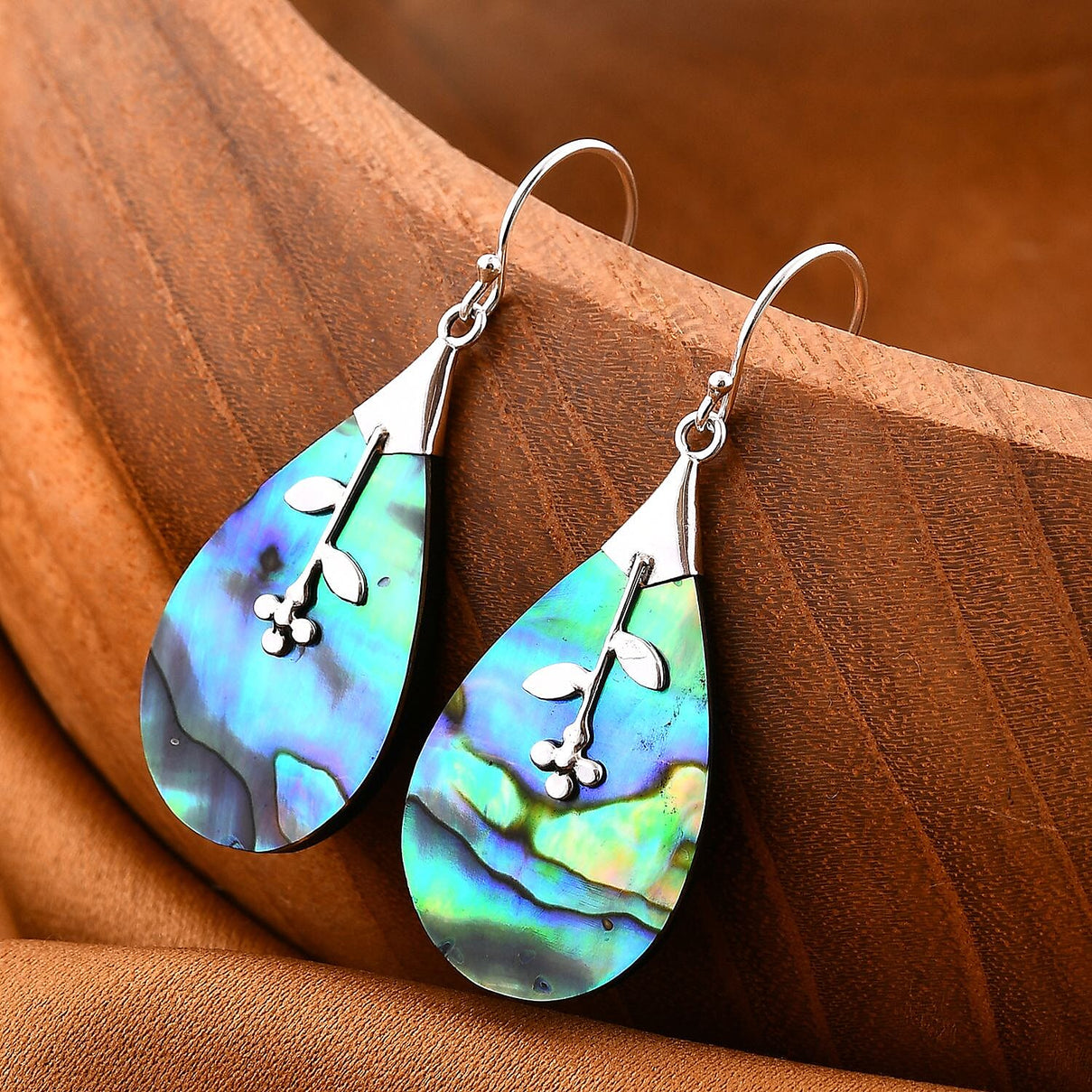 Abalone Shell Hook Earring in Sterling Silver 7768478 7