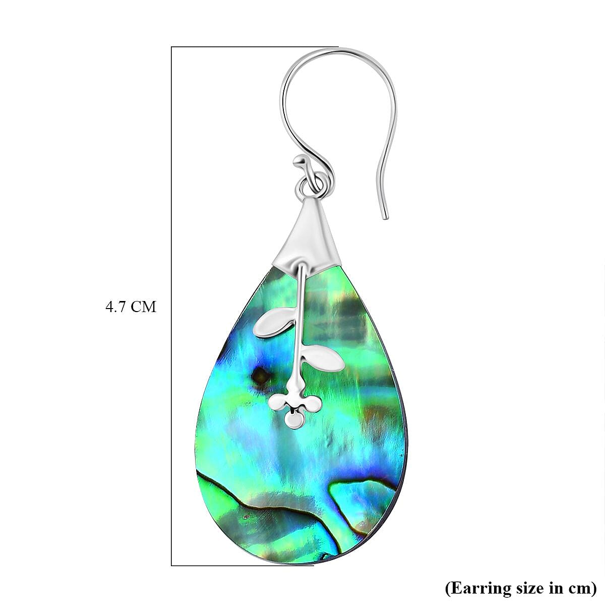 Abalone Shell Hook Earring in Sterling Silver 7768478 11