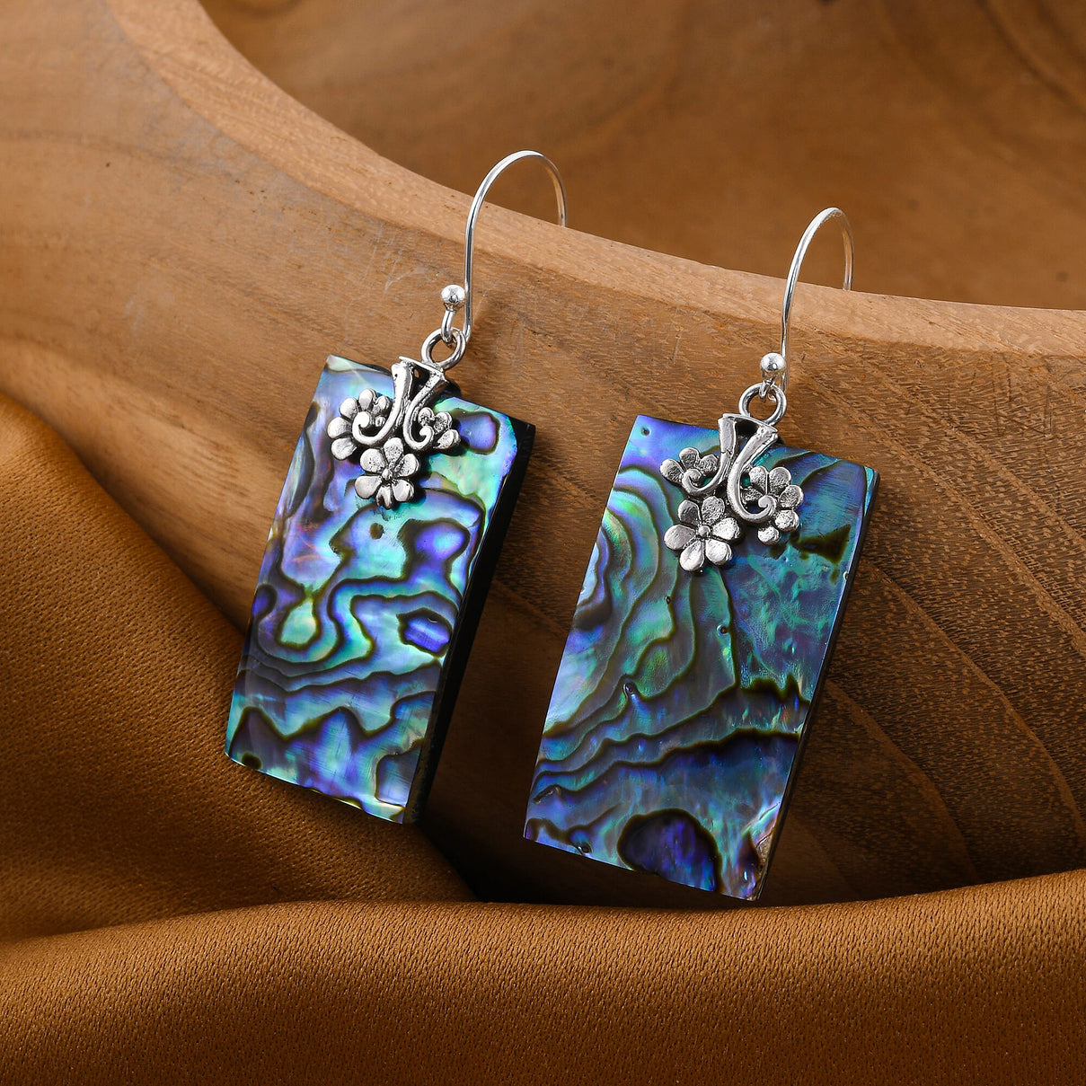 Abalone Shell Hook Earrings in Silver 3508056 1