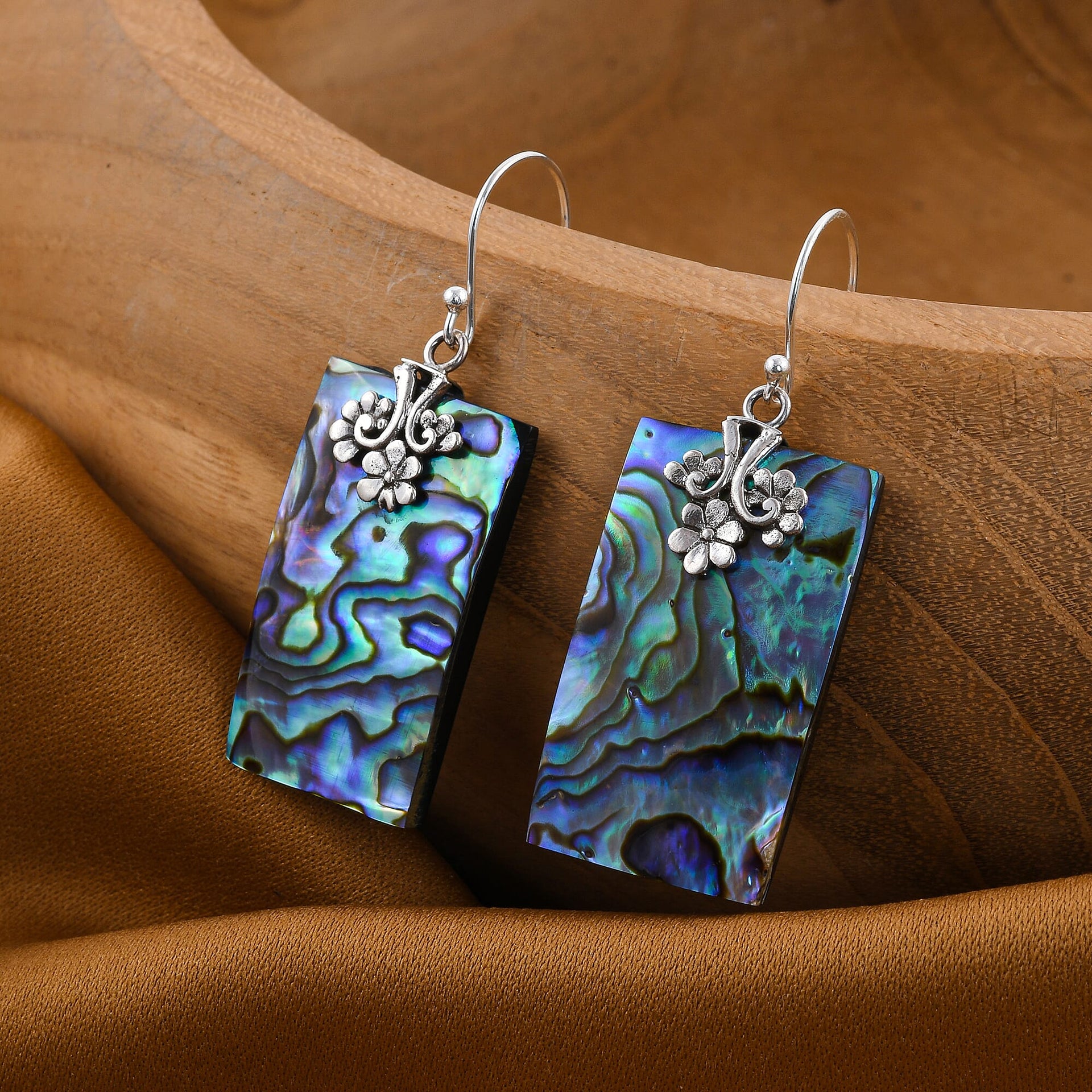 Abalone Shell Hook Earrings in Silver 3508056 1
