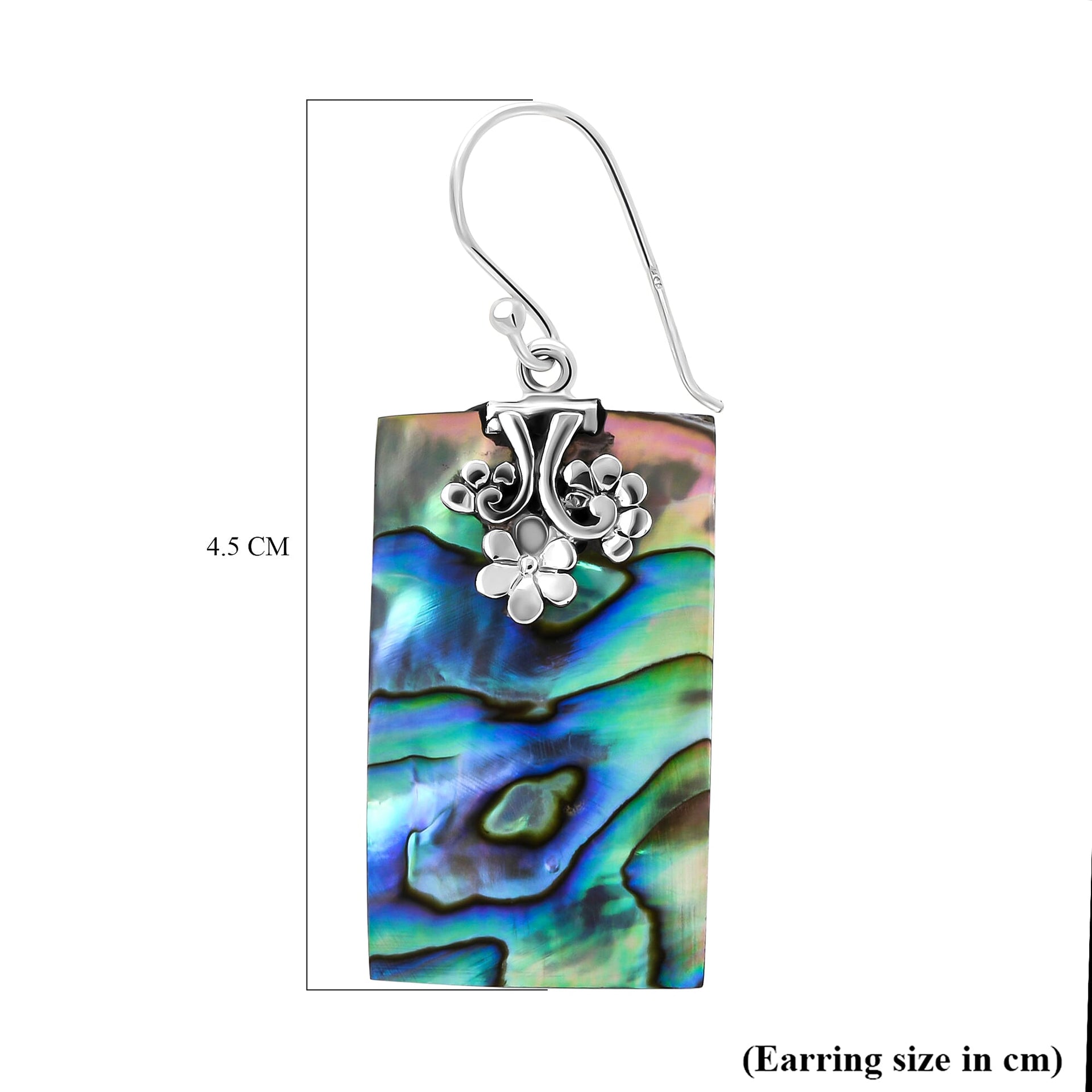 Abalone Shell Hook Earrings in Silver 3508056 4