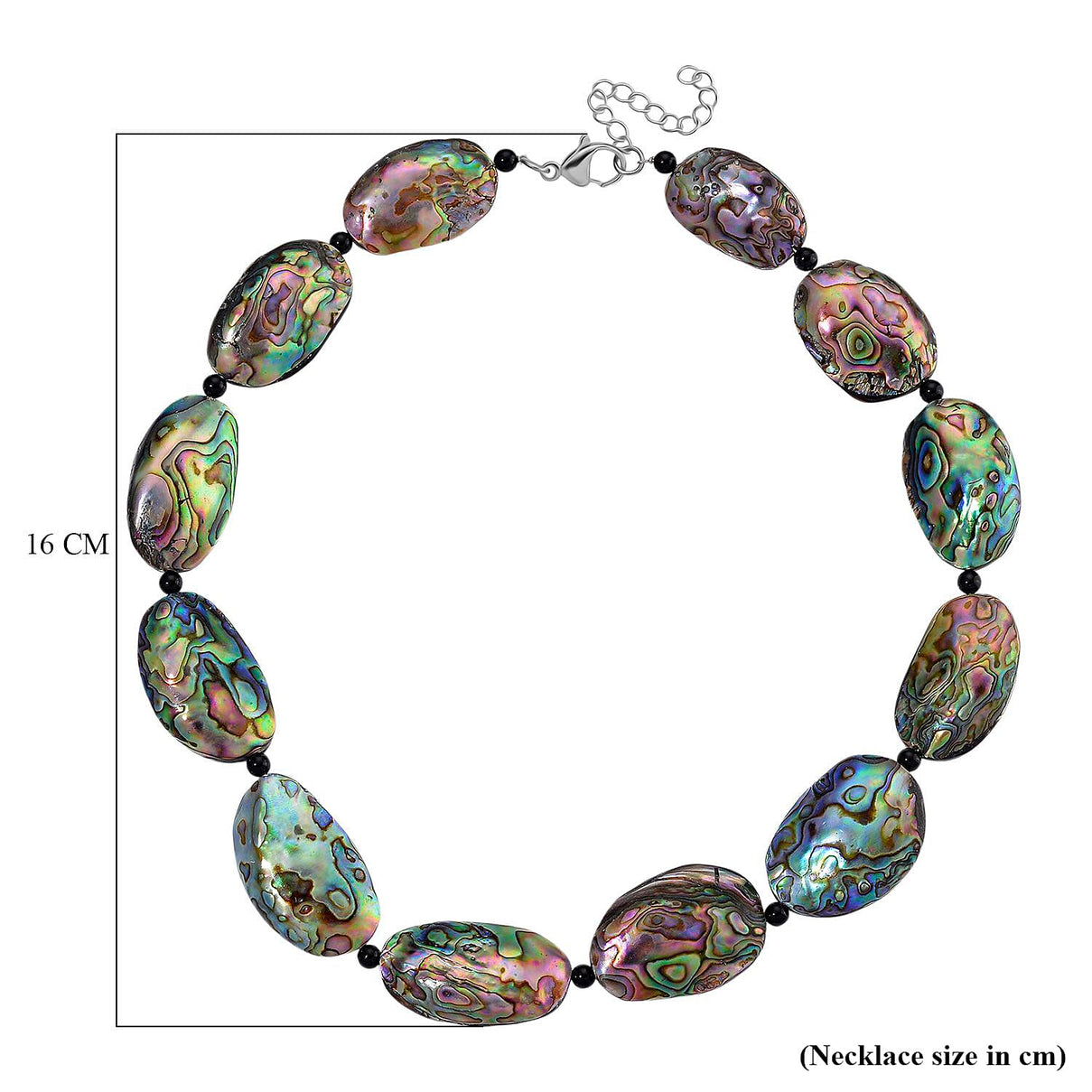 Abalone Shell Necklace 150.00 Ct. 8238775 7