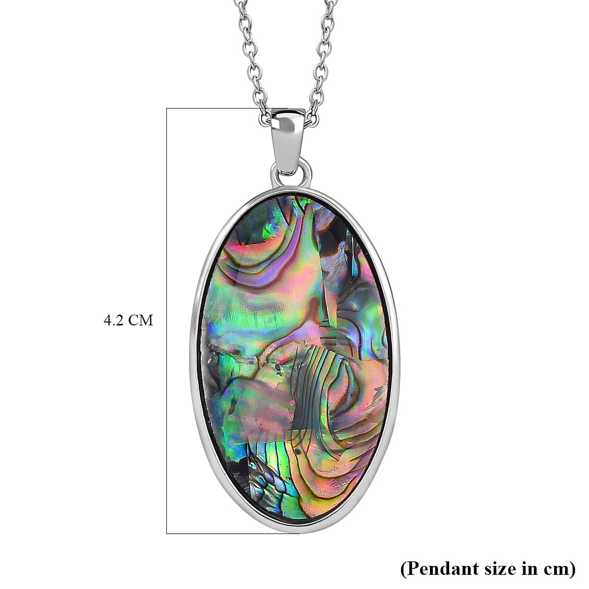Abalone Shell Necklace (Size 20) 7810804 5