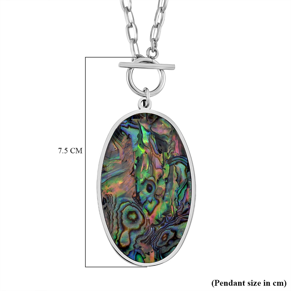 Oval Shape Abalone Shell Necklace (Size - 24) with T-Bar Clasp 7669909 5