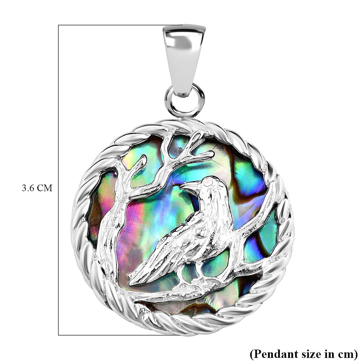 Abalone Shell Pendant Sterling Silver Wt. 7 grams, 9 Ct 7656877 6
