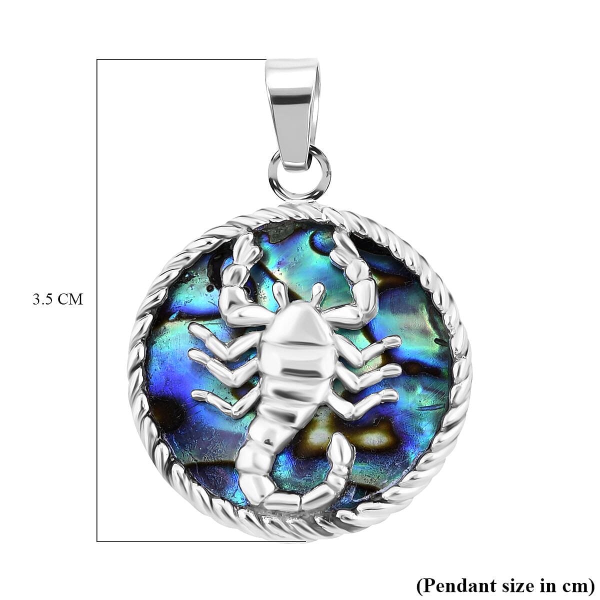 Abalone Shell Pendant Sterling Silver Wt. 7 grams, 9 Ct 7656880 6