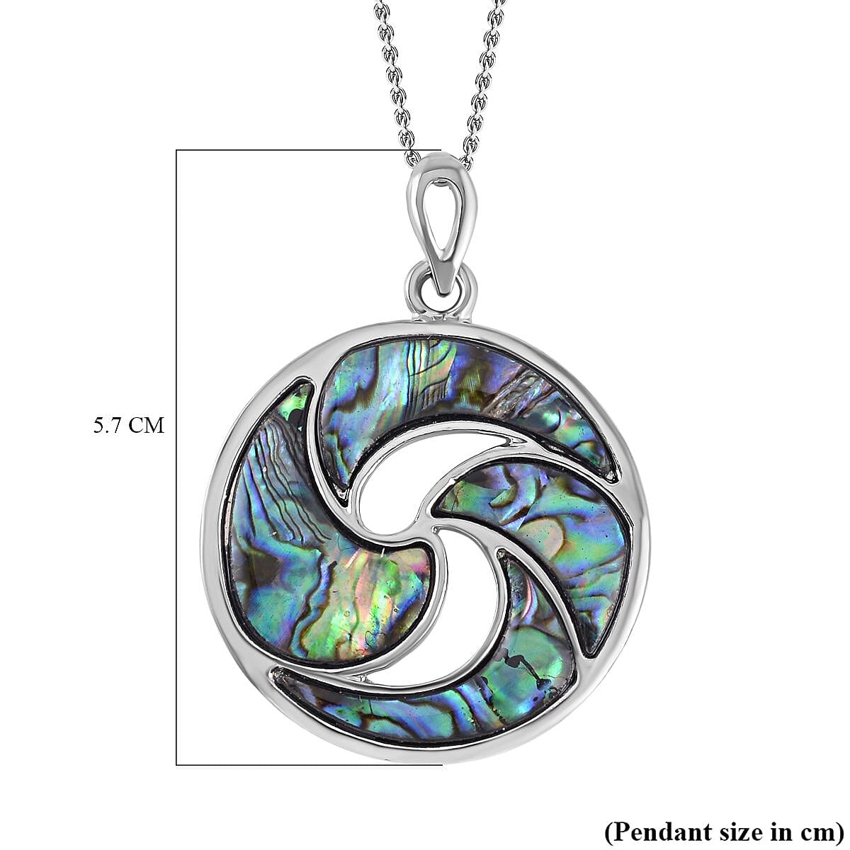 Abalone Shell Pendant with Stainless Steel Chain (Size 20) in Silver Tone 4180106 6