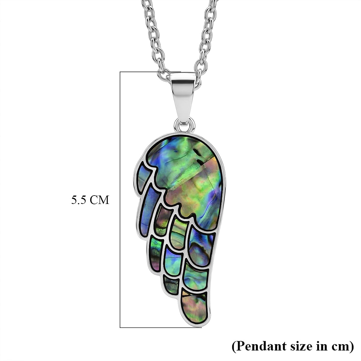 Abalone Shell Wing Pendant with Chain (Size 24-2 Ext) V32364546 7