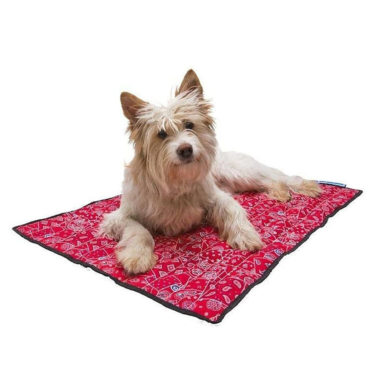 Aqua Coolkeeper Cooling Mat (Size S) - Red 7799200 0