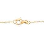 D'Joy African Ruby Turtle Pendant with Chain (Size 20) in Yellow Gold Plated Sterling Silver 2.38 Ct.
