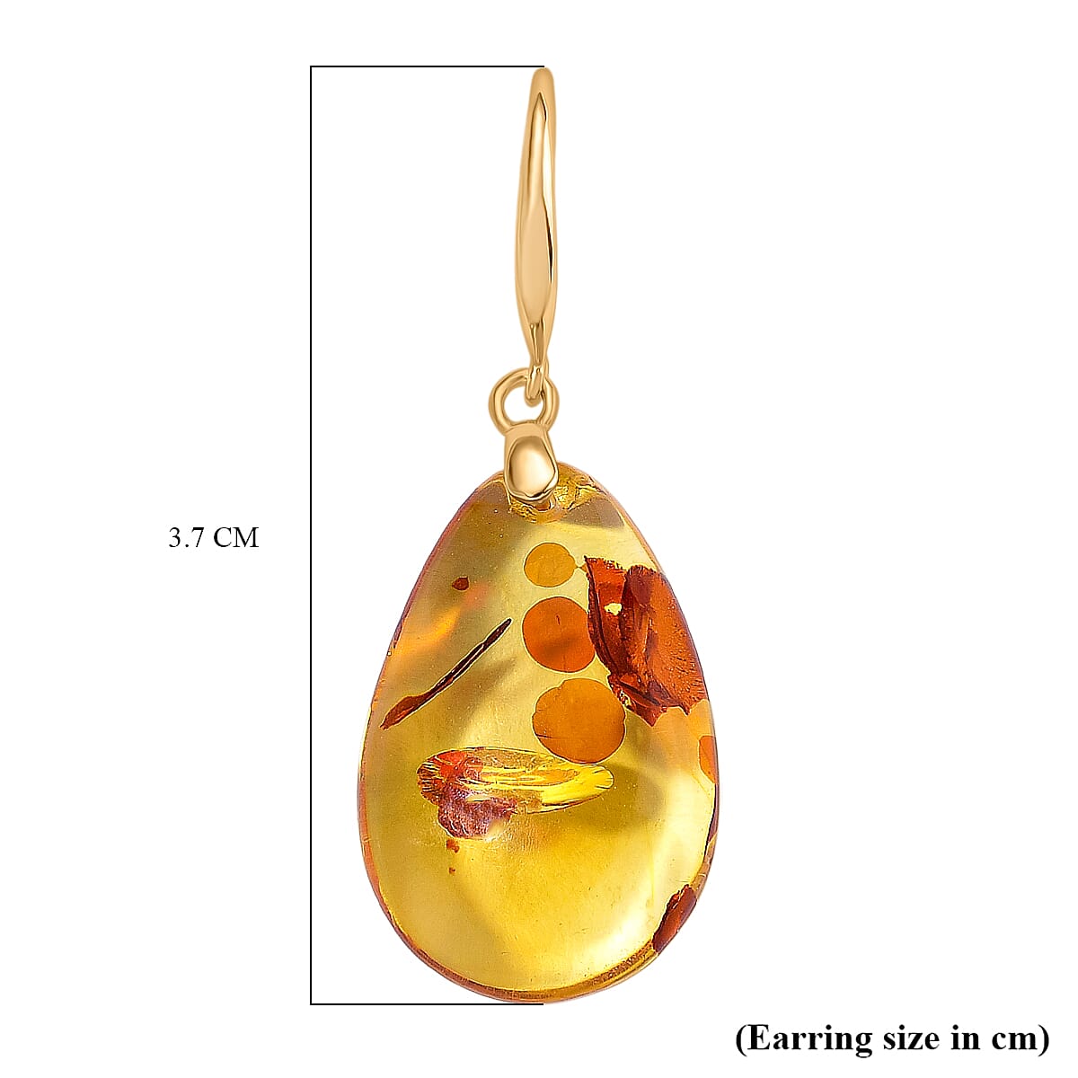 D'joy Amber Earring with Hook in Yellow Gold Plating Sterling Silver 6.85 Ct. 8215355 5